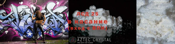 крисы Алзамай