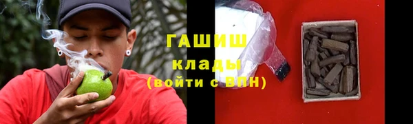 крисы Алзамай
