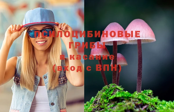 хмурый Алексеевка